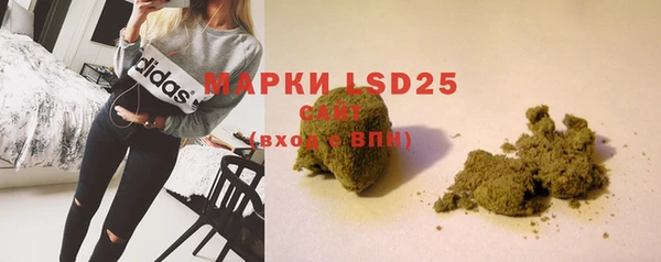 PSILOCYBIN Бородино