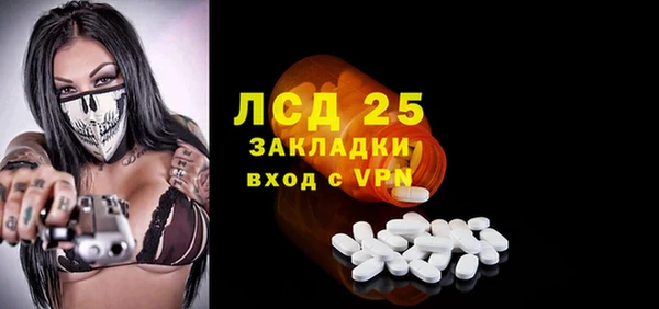PSILOCYBIN Бородино