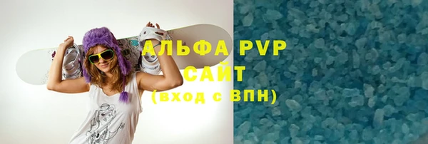 PSILOCYBIN Бородино