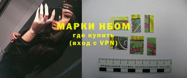 PSILOCYBIN Бородино