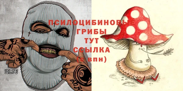 гашик Бугульма