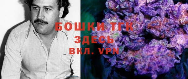 PSILOCYBIN Бородино