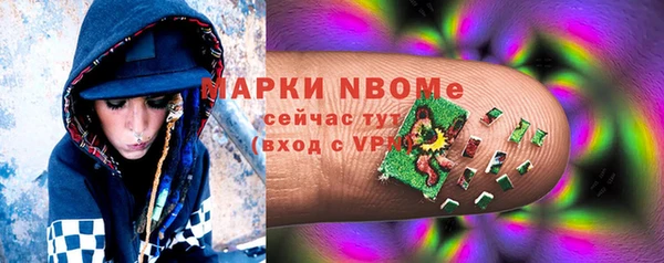 PSILOCYBIN Бородино