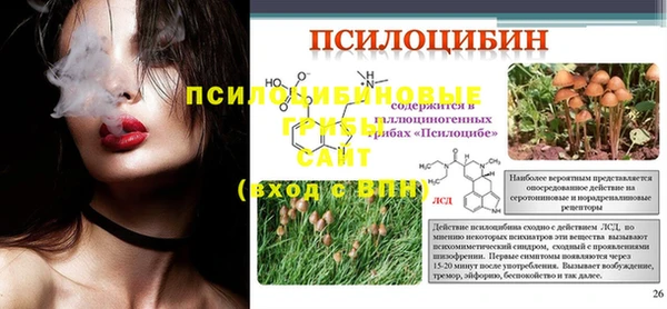 гашик Бугульма